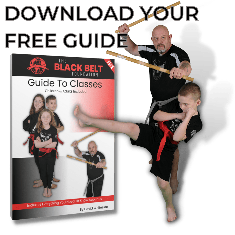 The Black Belt Academy Free Guide To Classes